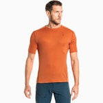 T Shirt Bosconero M